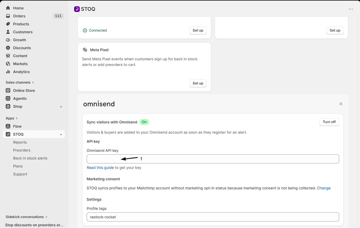 The Omnisend API key field