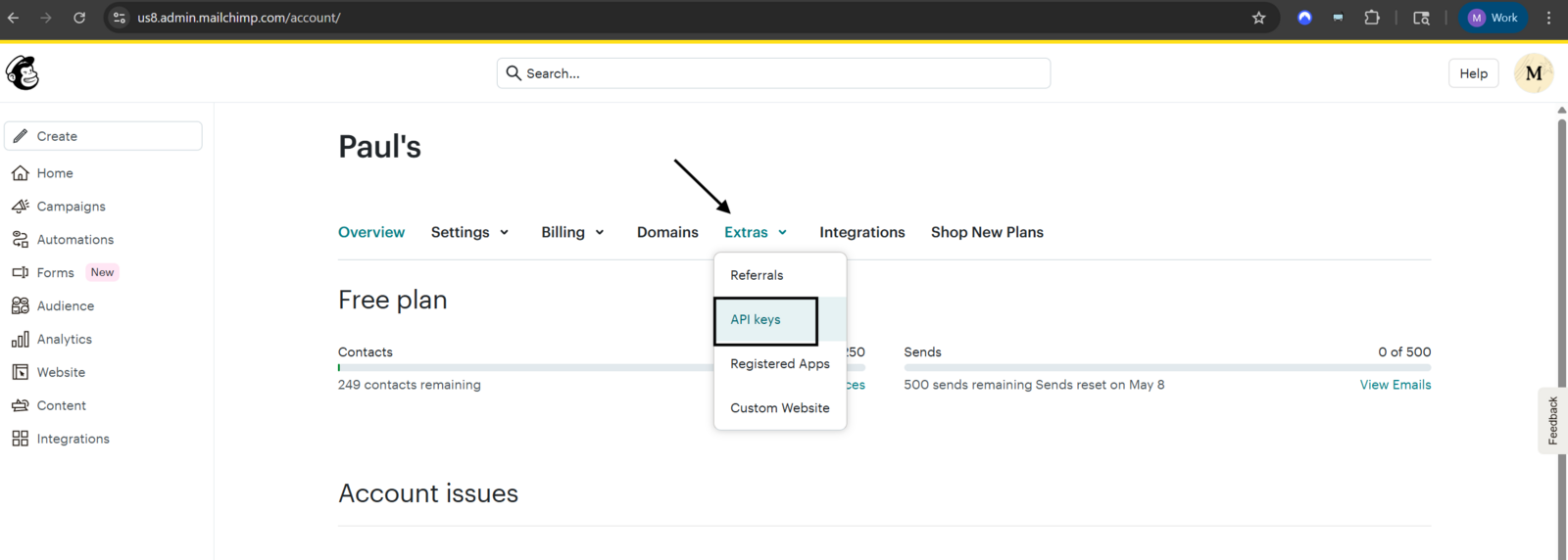 The Extras API keys page in Mailchimp