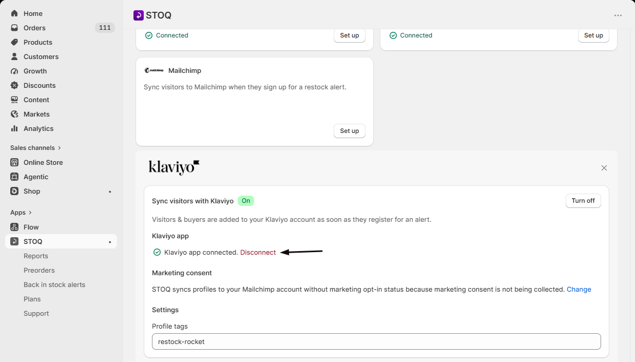 The Klaviyo app connected confirmation with a green checkmark