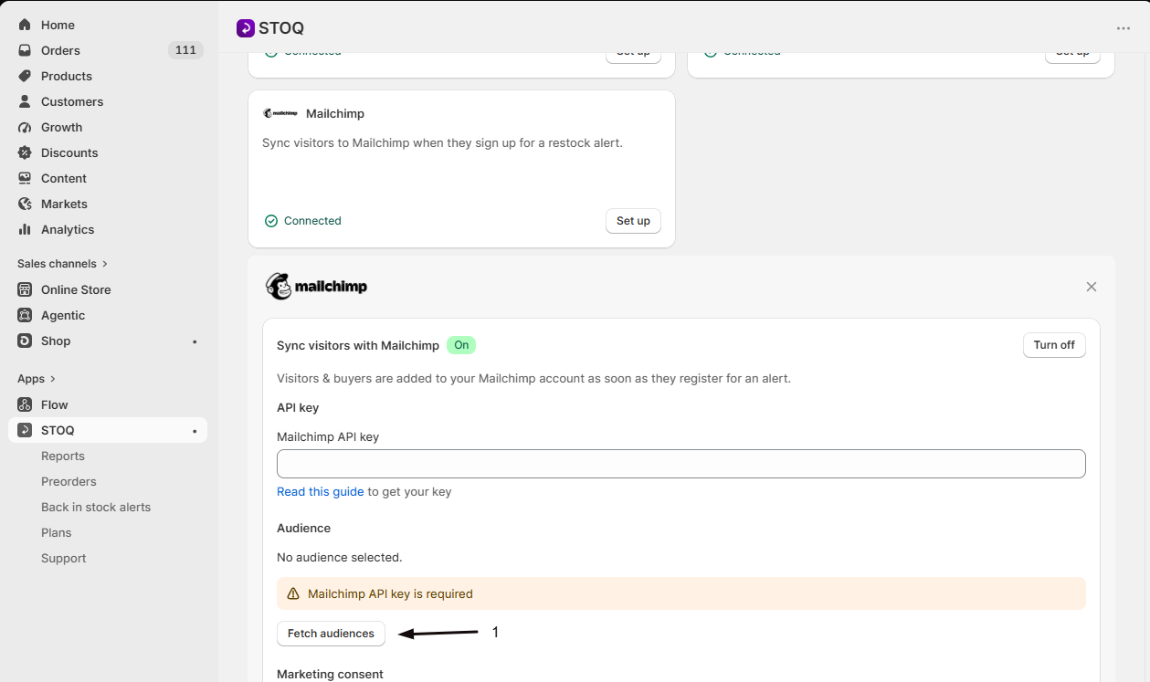 Fetching and selecting a Mailchimp audience