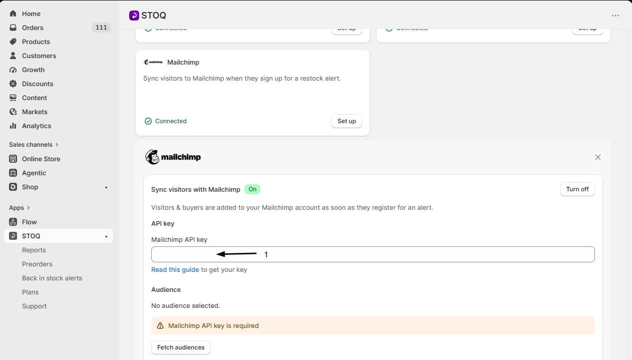 The Mailchimp API key field